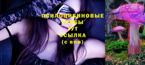 твердый Кулебаки