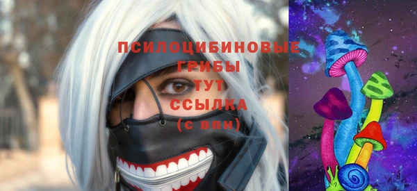 тгк Канск