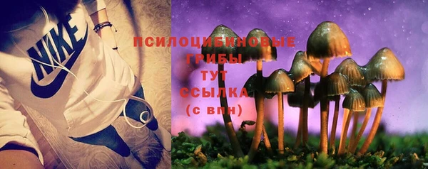PSILOCYBIN Ладушкин