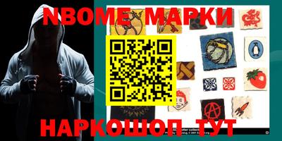 индика Камышлов