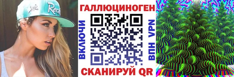 Псилоцибиновые грибы Cubensis  Луга 