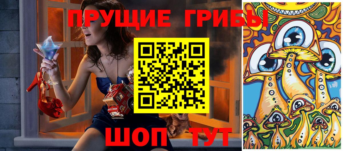 закладка  Псилоцибиновые грибы Psilocybine cubensis  Вход с VPN  Луга 